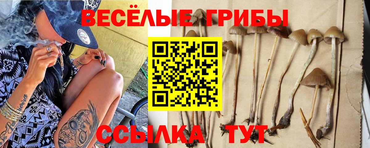 Галлюциногенные грибы GOLDEN TEACHER  Галлюциногенные грибы ЛСД  Вход с VPN  Сатка 