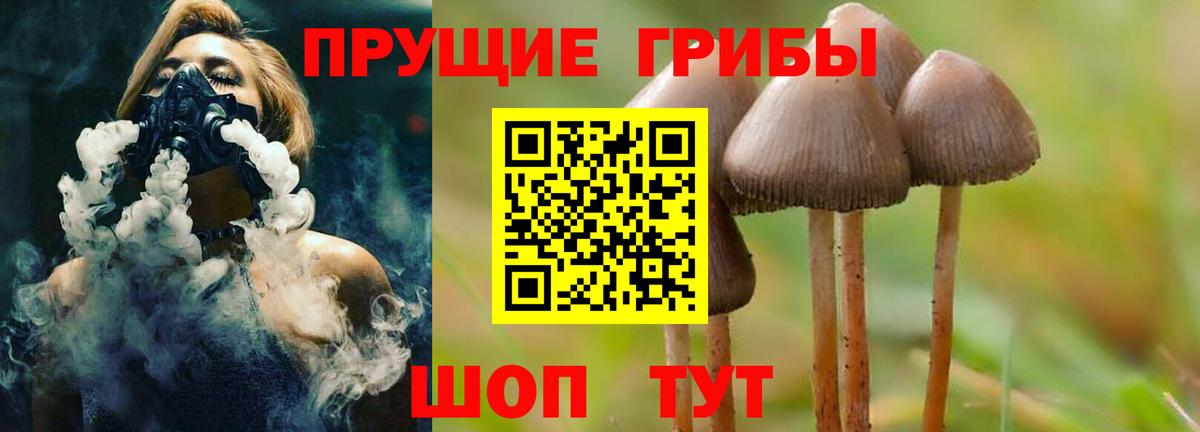 Галлюциногенные грибы прущие грибы Сатка